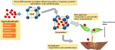 Metal-organic framework as nanocarriers for agricultural applications: a review